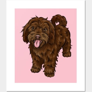 Cute Chocolate Cavapoo Dog Posters and Art